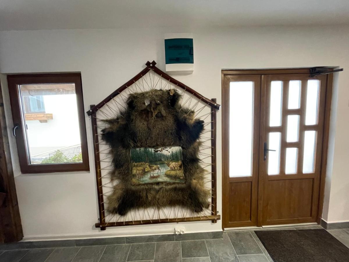 Pensiunea Vis Alpin Belis Bagian luar foto