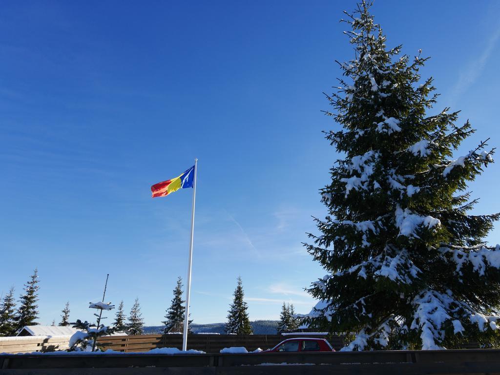 Pensiunea Vis Alpin Belis Bagian luar foto